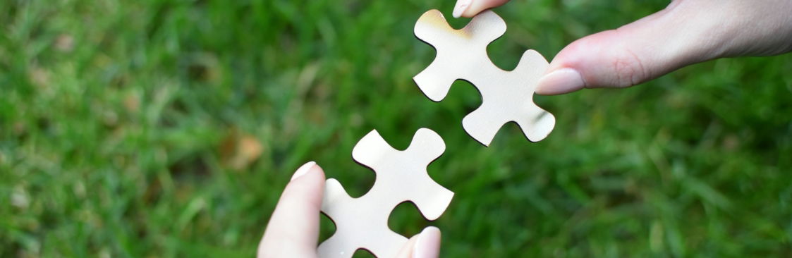 a person holding a piece of a puzzle in their hands